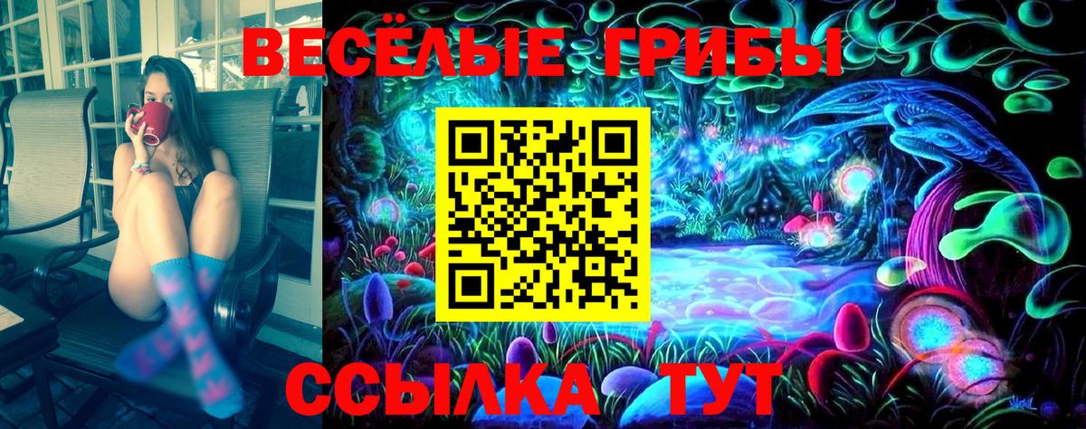 Псилоцибиновые грибы Magic Shrooms Гусиноозёрск