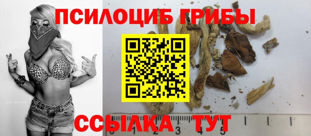 Псилоцибиновые грибы ЛСД  Вход с VPN  Псилоцибиновые грибы Cubensis  Гусиноозёрск 